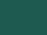 Fiber Reactive Fabric Dye for Cotton - 2/3 Ounce - Forest Green