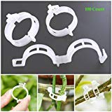 Akoak 100 Pcs Plant Support Clips For Garden Tomato Garden Vegetables Vine To Grow Upright And Makes Plants Healthier Twine Clip