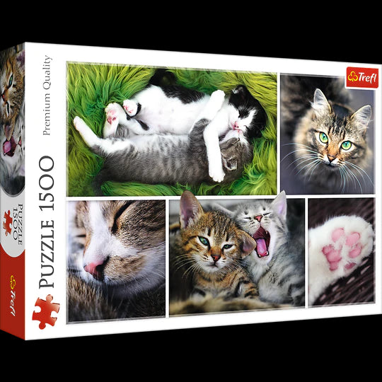 Trefl 1500 Piece Jigsaw Puzzle, Just Cat Things Collage