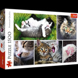 Trefl 1500 Piece Jigsaw Puzzle, Just Cat Things Collage