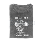 Today I'm a Serious Goose Funny T-Shirt – Men’s Vintage Washed Graphic Tee, Lightweight Sarcastic Animal Streetwear Top