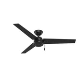 Cassius Ceil Fan Blk 52 (Pack Of 1)