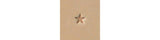 Tandy Leather O53 Craftool? Star Stamp 6805300