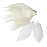 Calandis 2X100 Pieces Natural Magnolia Leaf Leaves Scrapbooking White | Other Scrapbook Embellishments | Scrapbooking Embellishm