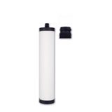 Doulton W9223021 UltraCarb Ceramic Water Filter Candle, White, Pack of 1