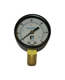 Gauge Pressure 60Psi Lf (Pack Of 1)