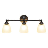 All The Rages Essentix 3-Light Metal & Glass Vanity Fixture In Oil Rubbed Bronze