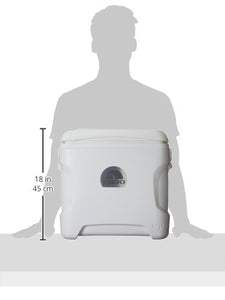 Igloo Marine Ultra Coolers , White, 30 Qt