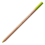 Caran Dache Pastel Color PencilMiddle Moss Green 10%