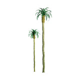 JTT Scenery Products Professional Series: Palm, 3