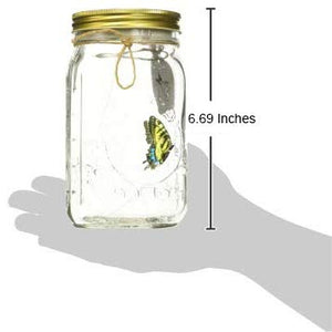 Animated Butterfly In A Jar Yellow Swallowtail Figurine By Sciencepurchase
