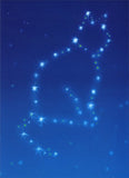 Cat Constellation Pet Sympathy Card