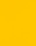 LUXPaper 8.5 x 11 Cardstock | Letter Size | Sunflower Yellow | 100lb. Cover (183lb. Text) | 50 Qty