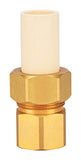Cpvc Trans Union 3/4F(Pack Of 1)