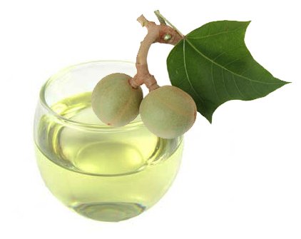 100% Organic Kukui Nut Oil | Imported From Hawaii | 2oz Glass Bottle | Glass Dropper | Natural Moisturizer for Skin, Hair and Fa