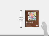 Strathmore 400 Series Bristol, 2-Ply Vellum, 11X14 Tape Bound, 15 Sheets