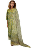 Gosriki Women'S Rayon Viscose Straight Printed Kurta With Pant & Dupatta (Ribas Green-Vks02-Gs_Xl_Green_X-Large),Green,,B0DY8313KH