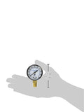 Pressure Gauge 0-100 Lf (Pack Of 1)