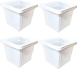 Grenfel First Classgrow Your Fruit & Flower & Herb & Vegetable Seeds Plant Container Set (Pack Of 4, First Classplastic)