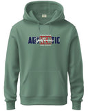 Adro Men'S Cotton Blend Neck Hooded Sweatshirt (H24-Spt-Pt-S_Pista)
