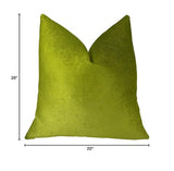 Plutus Brands Plutus Contentment Grass Handmade Throw Pillow, 20 X 26 Standard, Green