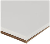 Strathmore (580-72 500 Series Bristol, 2-Ply Plate Surface, 11''X14'', White, 15 Sheets