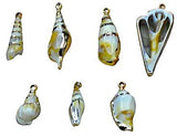 ANI ACCESSORIES 1 Set 7 pcs DIY Natural Colour Acrylic Seashell DIY for Necklace Bracelet Jewelry Making and Crafting Charms