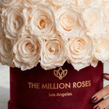Classic Bordeaux Suede Superdome Box | White Roses