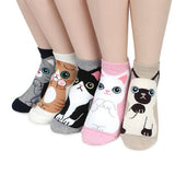 Sting Bee Animal Print Cotton Ankle Socks For Women & Girls, Multicolor, Pack Of 4
