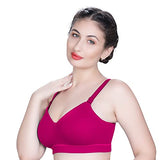Trylo Riza Bestie 34 Rasberry C - Cup,RASBERRY,30,B0969LR7FQ