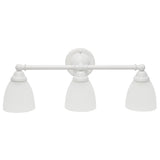 All The Rages Essentix 3-Light Metal & Glass Vanity Fixture In White