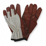 Coated Chore Gloves,3/4 Dip,M,10,PR