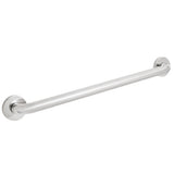 Speakman SA100924 24 in. ADA Grab Bar, Polished Chrome