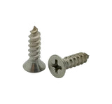 BCP Fasteners 100 Qty #10 x 5/8 Flat Head 304 Stainless Phillips Head Wood Screws (BCP25)