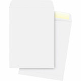 Business Source 42103 Catalog Envelopes, Plain, 28Lb., 10Inch x13Inch , 250/PK, WE