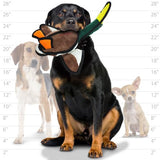 TUFFY - World's Tuffest Soft Dog Toy - Barnyard Duck - Squeakers - Multiple Layers. Made Durable, Strong & Tough. Interactive Pl