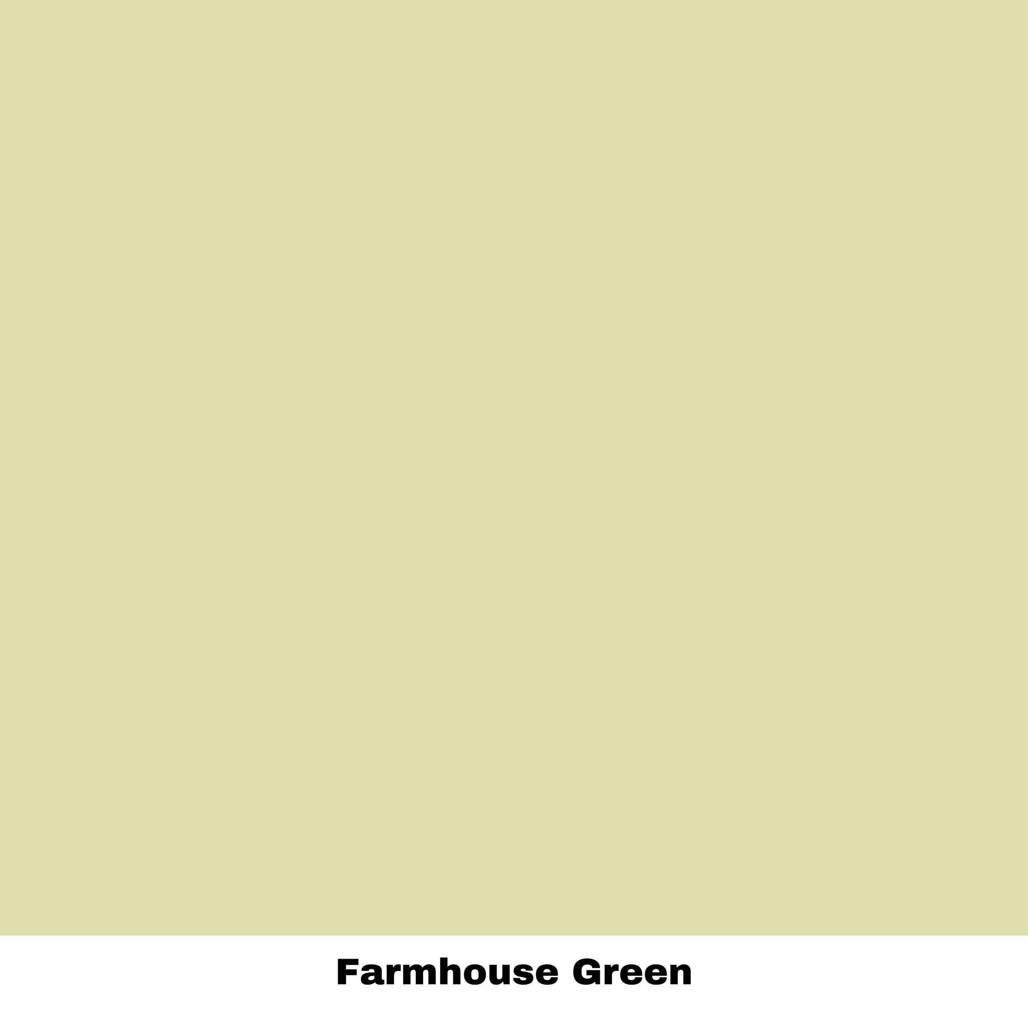 Dixie Belle Paint Company Chalk Finish Furniture Paint | Farmhouse Green (8oz) | Matte Spring Green Chic Chalk Mineral Paint | D