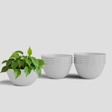 Yuccabe Italia Shera Chick Ktr 10 Inch Pack Of 12 Pcs Plastic Flower Pot Unbreakable Round Shape Bowl Planter Suitable For Home 