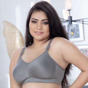 Trylo Riza T-Fit-40-Grey-D-Cup,GREY,40,B0CKBXKRT6