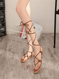 Shoetopia Women'S Block Heel Sandal (3 Uk) /Brown,Brown,3,B0BSCBMDXY