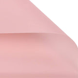 BBJ WRAPS Korean Style Flower Wrapping Paper Floral Bouquet Gift Packaging Supplies Multi Colors 20 Counts (Pink)