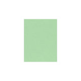 LUXPaper 8.5 x 11 Cardstock | Letter Size | Pastel Green | 65lb. Cover | 50 Qty