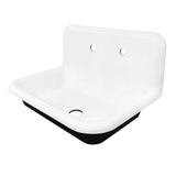 Kingston Brass Gourmetier GCLWS302019 30X20 Single Bowl Wall Mounted Sink, White