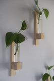 Ancient Shoppee Test Tube Wall Planter (Set Of 2) | Hanging Planters | Stick To Wall | Wall Planter | Planter For Indoor Plants 