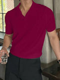Leriya Fashion T Shirt for Men || Men T-Shirt || || Men Polo T-Shirt || Men Pain T-Shirt (Small Wine),Wine