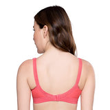 Trylo Namrata 40 Coral C - Cup,CORAL,40,B09C3H3TM5