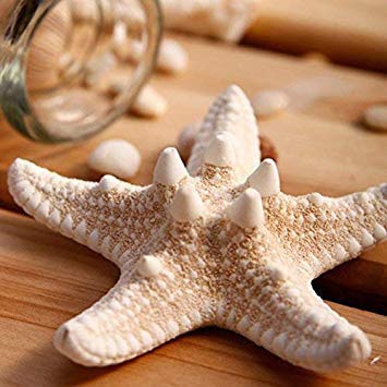 Aluinn Starfish Hair Clip Boho Barrettes Lovely Mermaid Beach Hair Hairpin Jewelry for Women Set of2