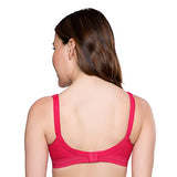 Trylo Namrata 34 Rasberry C - Cup,RASBERRY,34,B09C3HN6MS