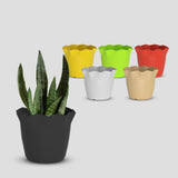 Yuccabe Italia Shera 8 Inch Plastic Flower Pot 6 Piece Set Of Unbreakable Round Shape Planter For Home Garden Seedling, Indoor A