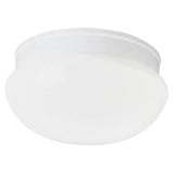 Two-Light 9-1/2 Close-to-Ceiling